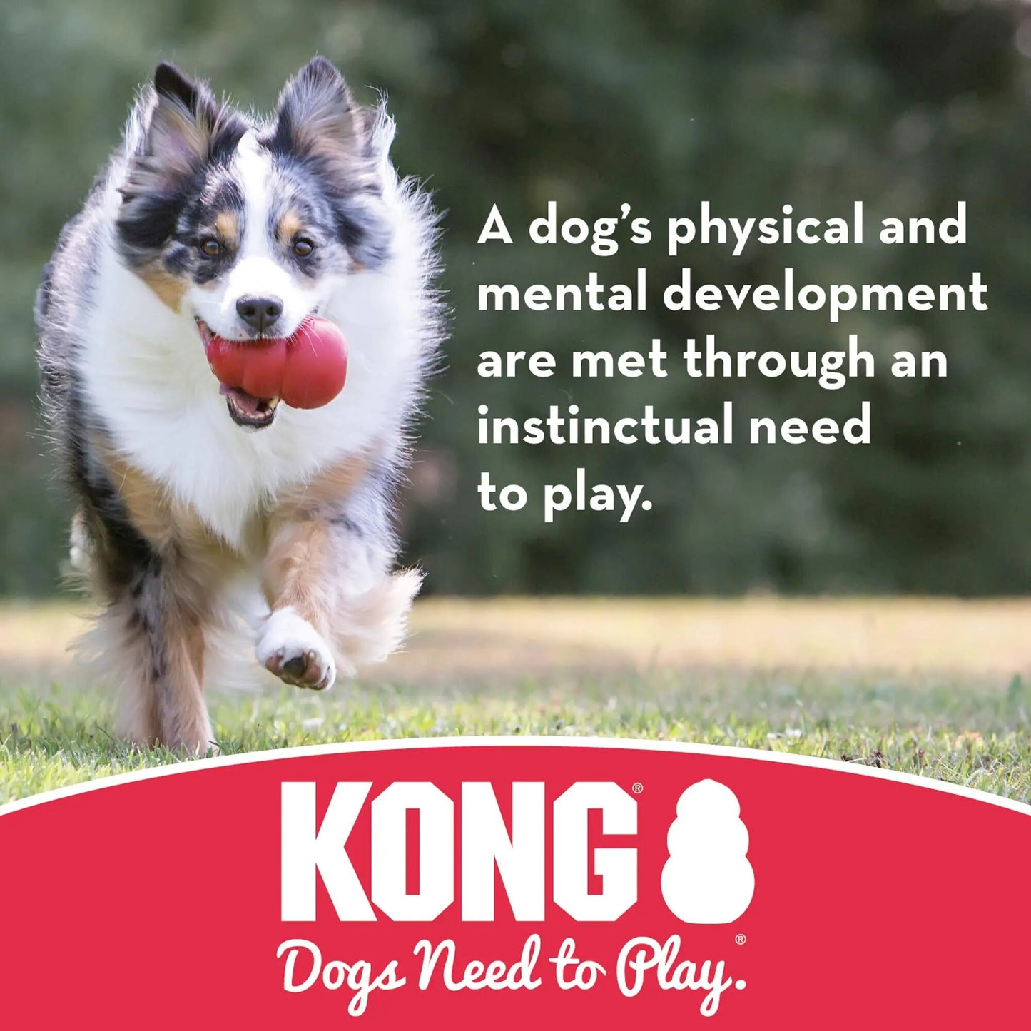 KONG - Extreme Ball - Jouet pour chien en caoutchouc durable pour mâcheurs puissants, noir