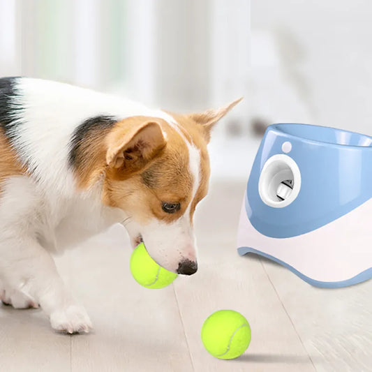 Catapulte pour animaux de compagnie, jouets pour chiens, Machine à balles interactive amusante, Mini Tennis 