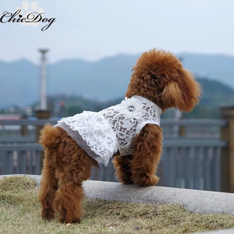 Solid Color Lace Dog Clothes Large Flower Princess Dress for Dogs Two-legged Cute Fashion Puppy Teddy Clothing Pink Girl Ropa