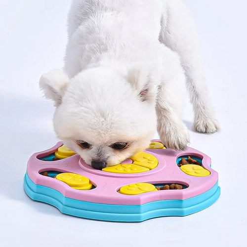 Pet Feeding Toy Increase IQ Interactive Slow Dispensing Puzzle Feeder