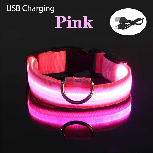 USB Charging/Battery Powered LED Dog Collar