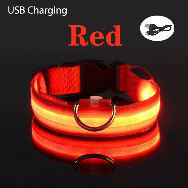 USB Charging/Battery Powered LED Dog Collar